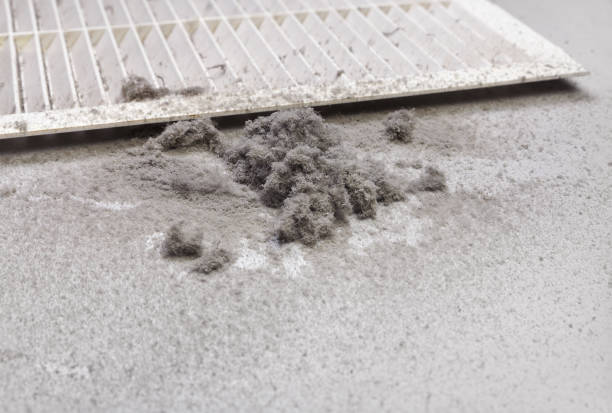 Best Affordable Air Duct Cleaning  in Oill, NE