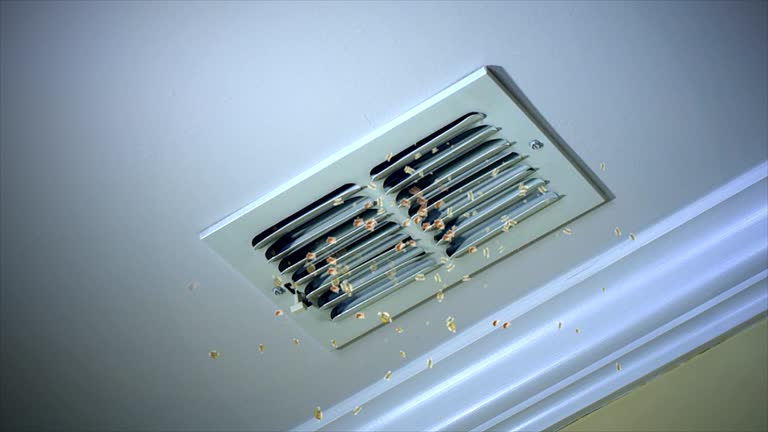 Emergency Air Duct Cleaning in NE