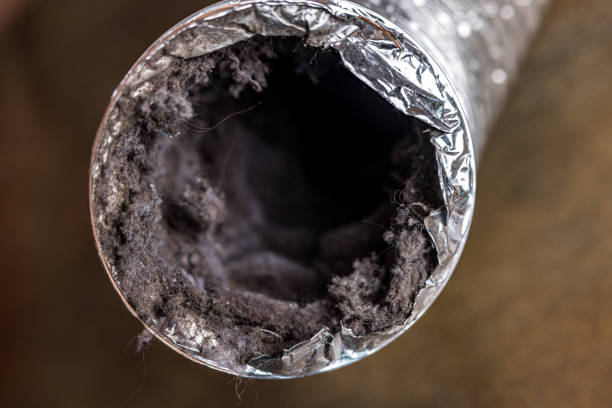 Best HVAC Duct Inspection Services  in Oill, NE